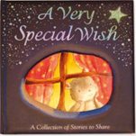 A Very Special Wish -0