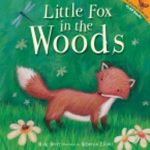 Little Fox in the woods -0