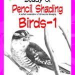 Study Of Pencil Shading Birds - 1-0