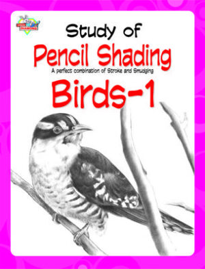 Study Of Pencil Shading Birds - 1-0