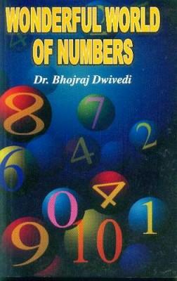 Wonderful World Of Numbers-0