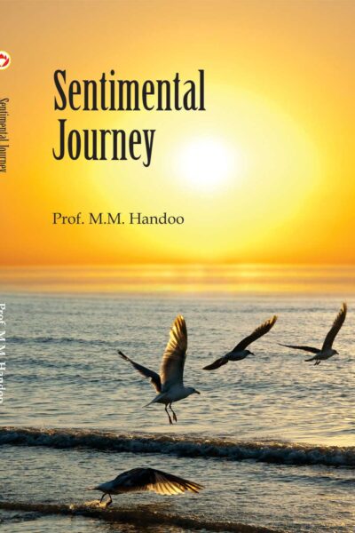 Sentimental Journey-0