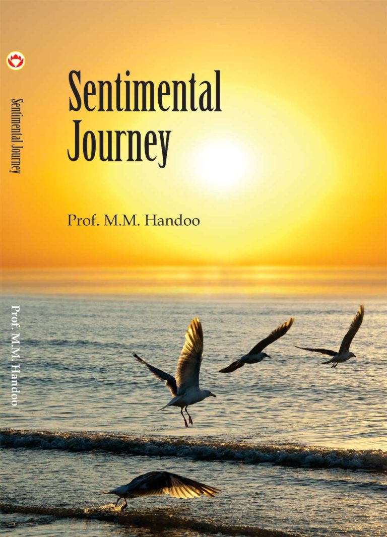 Sentimental Journey-0