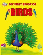 My First Book of Birds | Early Learning Picture Book-0