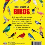 My First Book of Birds | Early Learning Picture Book-9325