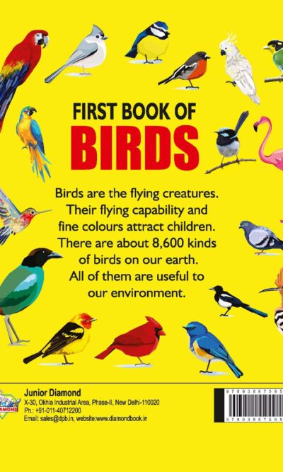 My First Book of Birds | Early Learning Picture Book-9325