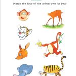 Tubby’s First Book of Animals with Colourful Interactive Activities-10565