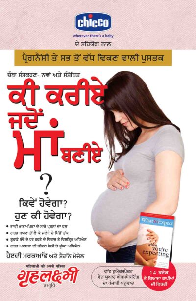 What To Expect When You are Expecting in Punjabi-0