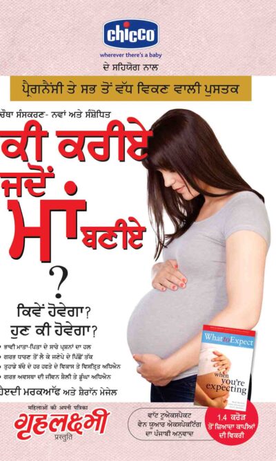 What To Expect When You are Expecting in Punjabi-0