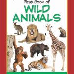 Tubbys First Book Of Wild Animals-0