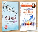 Best Motivational Books in Gujarati - Ikigai + Apne Career Ko Nai Disha Kaise Den -0