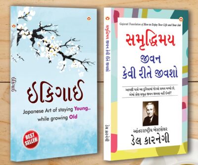 Best Inspirational Books in Gujarati - Ikigai + How to Enjoy Your Life and Your Job-0