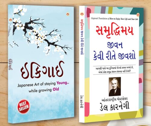 Best Inspirational Books In Gujarati - Ikigai + How To Enjoy Your Life And Your Job-0