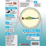 360° Postural Medicine (360° पोस्च्युरल मेडिसिन)-7676