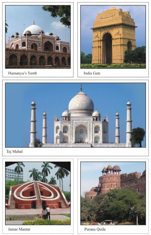 Easy Cut And Paste Activity Book For Kids | Picture Book For Kids | Monuments Of India, Freedom Fighters, Festivals Of India-9972