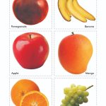 Cut and Paste Fun for Kids | Activity Book for Kids | Picture Book for Kids | Fruits, Vegetables, Balance Diet & Vitamins-9957