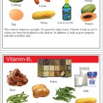 Cut and Paste Fun for Kids | Activity Book for Kids | Picture Book for Kids | Fruits, Vegetables, Balance Diet & Vitamins-9959