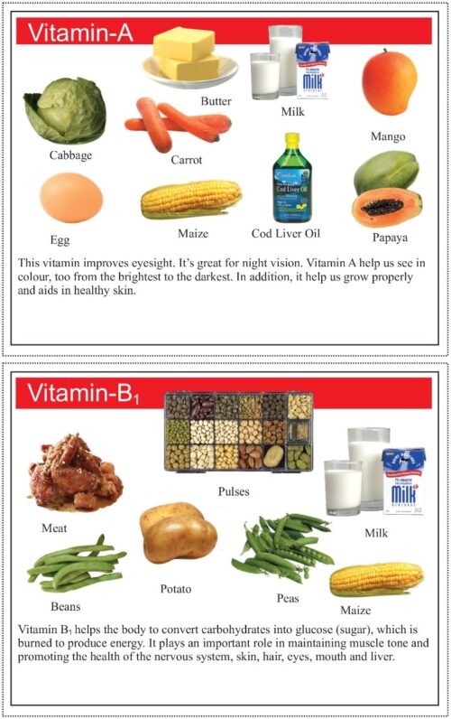 Cut And Paste Fun For Kids | Activity Book For Kids | Picture Book For Kids | Fruits, Vegetables, Balance Diet &Amp; Vitamins-9959