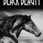 Black Beauty-8159