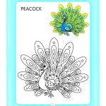 Preschool Colouring Book Birds | Activity Colouring Book for 3 to 6 Years Old | Colouring Book for Kids-9237