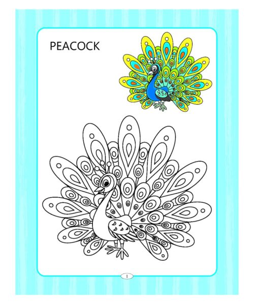 Preschool Colouring Book Birds | Activity Colouring Book For 3 To 6 Years Old | Colouring Book For Kids-9237