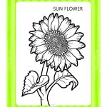 Preschool Colouring Book Flowers | Activity Colouring Book for 3 to 6 Years Old | Colouring Book for Kids-9249