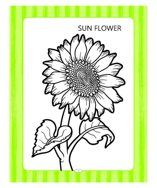 Preschool Colouring Book Flowers | Activity Colouring Book For 3 To 6 Years Old | Colouring Book For Kids-9249