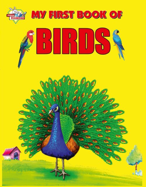 My First Book (Set Of 5 Books) : Cartoon Colouring Book 1 | Kg Crayons Colouring Book 1 | Abc | Animals |My First Book Of Birds-9623