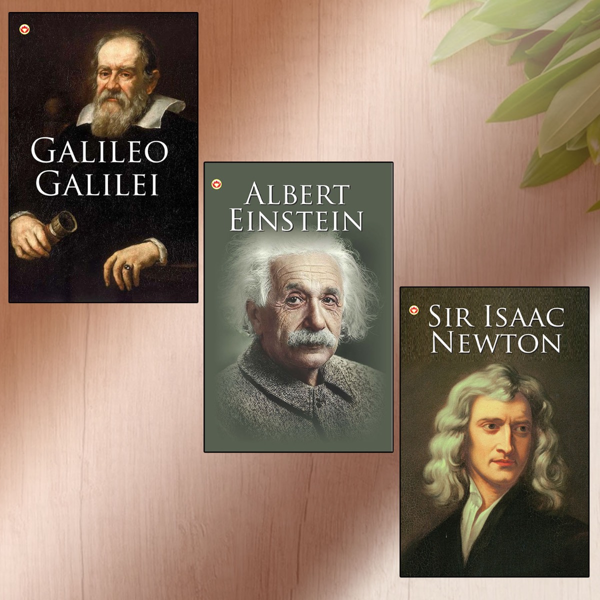 Great Scientists of the World : Galileo Galilei | Albert Einstein | Sir Isaac Newton (Inspirational Biography Books)-0