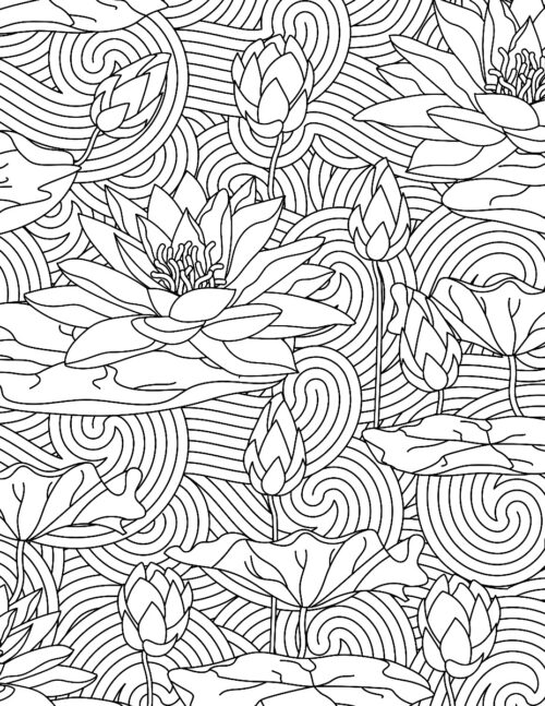 Flowers : Colouring Book For Adults (Colouring For Peace And Relaxation)-11130