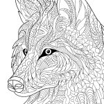 Wilderness : Colouring Book for Adults (Colouring for Peace and Relaxation)-11145