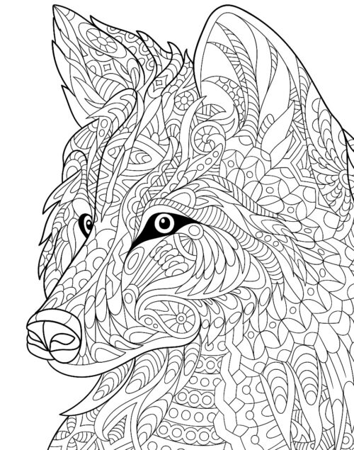 Wilderness : Colouring Book For Adults (Colouring For Peace And Relaxation)-11145