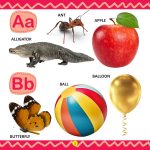 My First Library ABC : Illustarted A-Z Alphabet Book for Kids-11153