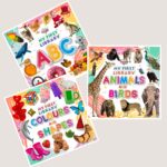 My First Learning Library Books : ABC|Colours and Shapes|Animals and Birds (Early Learning Books for Kids|Children Growth and Development Books)-11777