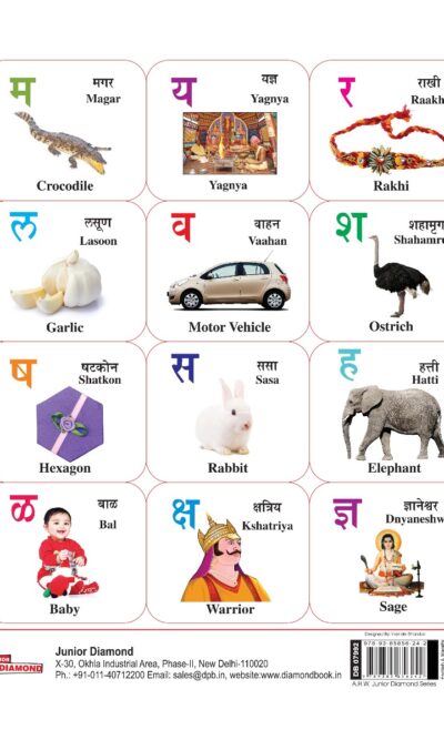 Tubby's General Knowledge : All in One in Dual Language (Marathi & English)-11822