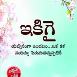 Ikigai : The Japanese Art of Living in Telugu (ఇకిగై : యవ్వనంగా ఉండటం...ఒక కళ వయస్సు పెరుగుతున్నప్పటికీ)-0