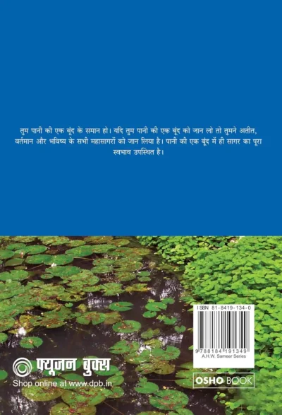 Patanjali Yog Sutra 4 Hindi-0-back side