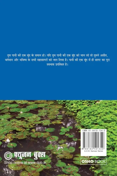 Patanjali Yog Sutra 4 Hindi-0-back side