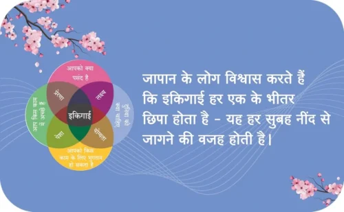 Ikigai In Hindi (इकिगाई)-0