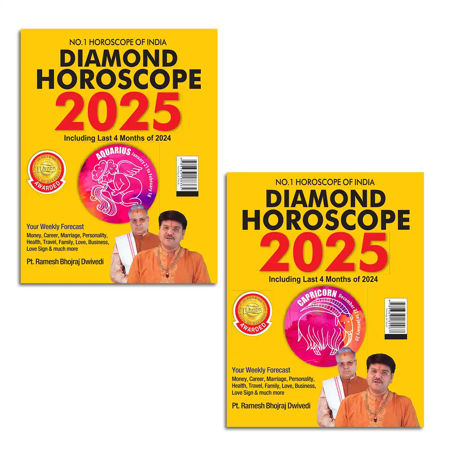 Diamond Horoscope 2025 : The Ultimate Zodiac Sun Sign Book for Aquarius + Capricorn-1