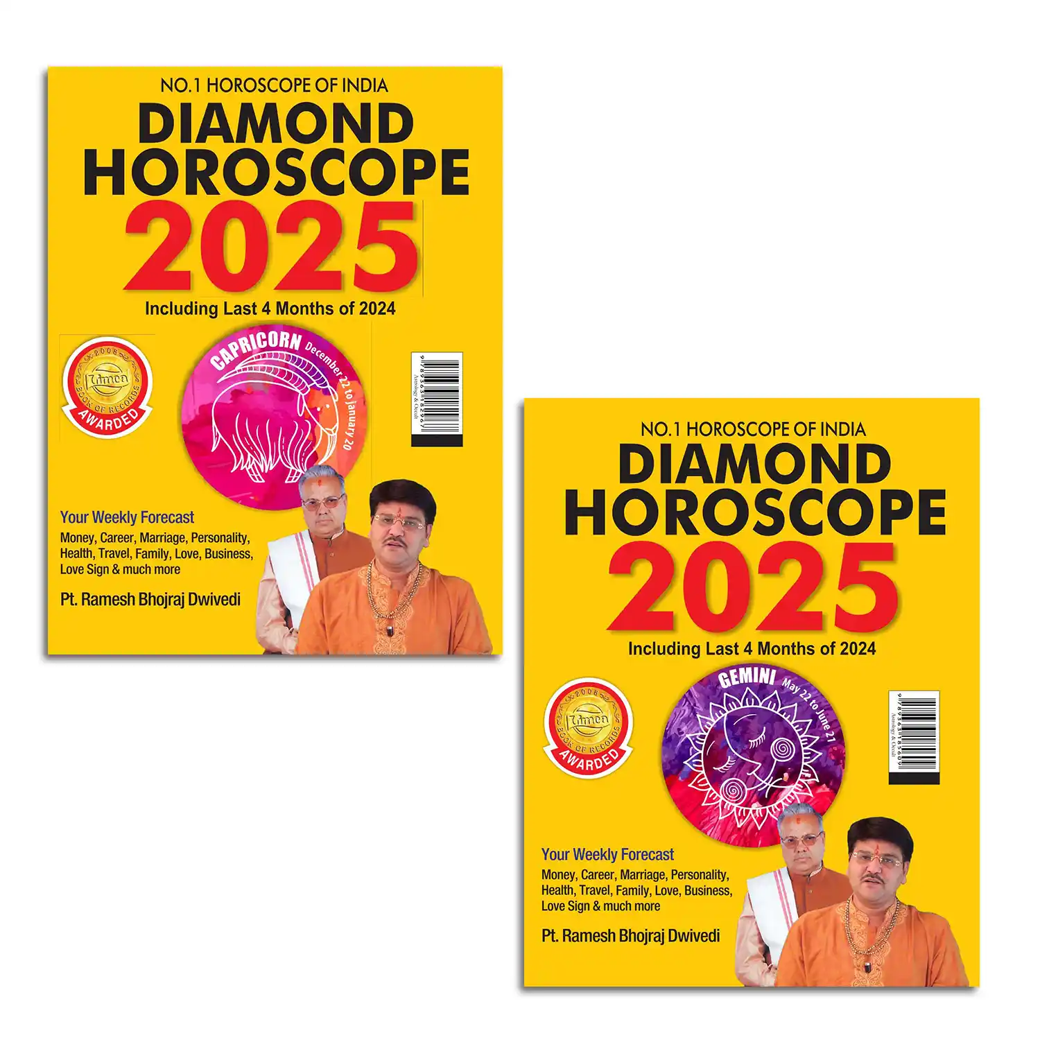 Diamond Horoscope 2025 : Capricorn + Gemini |Sun Sign books |Zodiac Sign-1