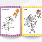 Toys And Flowers Colouring Book - Magical Colouring Book for Kids |Preschool Activity Book -7