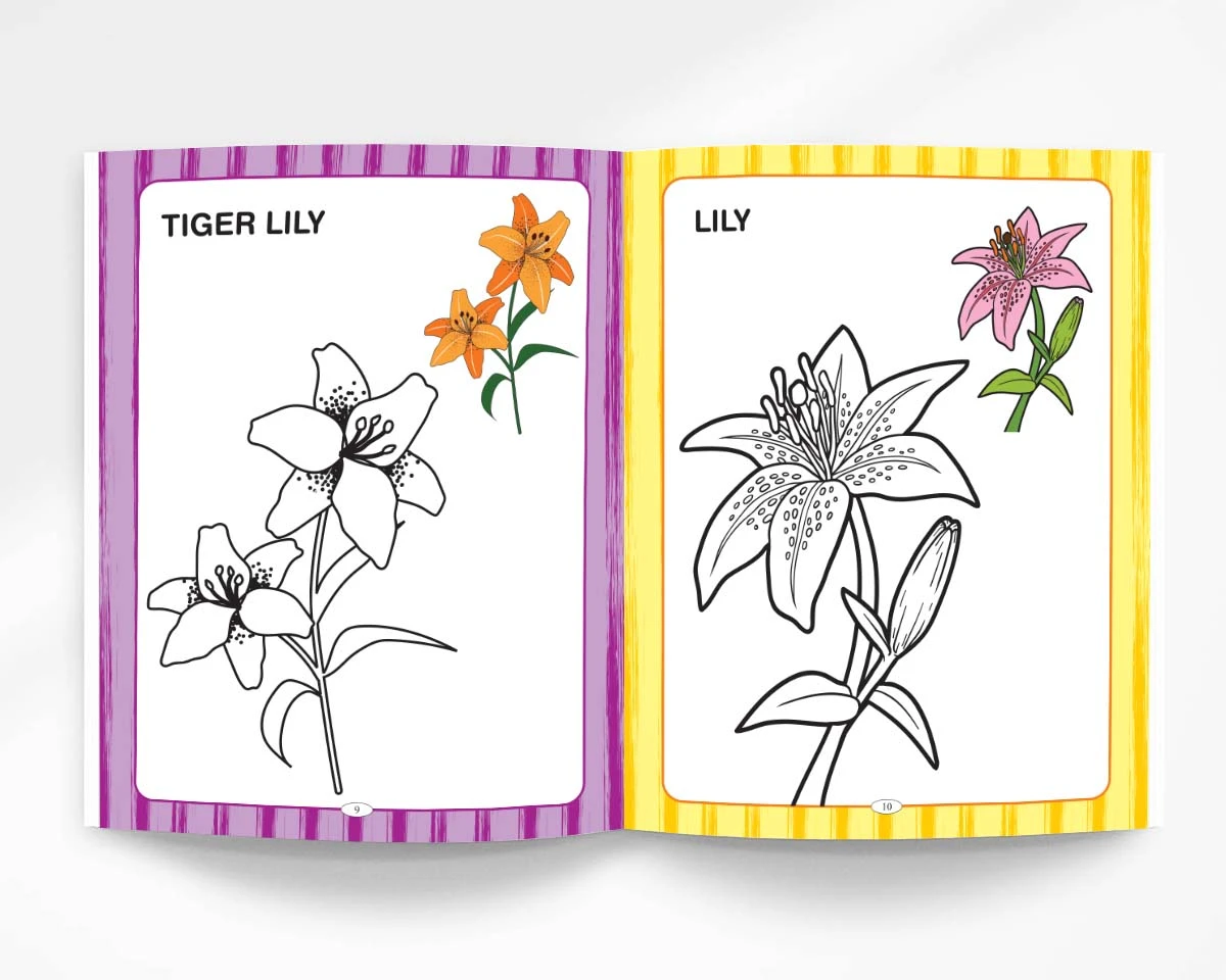 Toys And Flowers Colouring Book - Magical Colouring Book for Kids |Preschool Activity Book -7