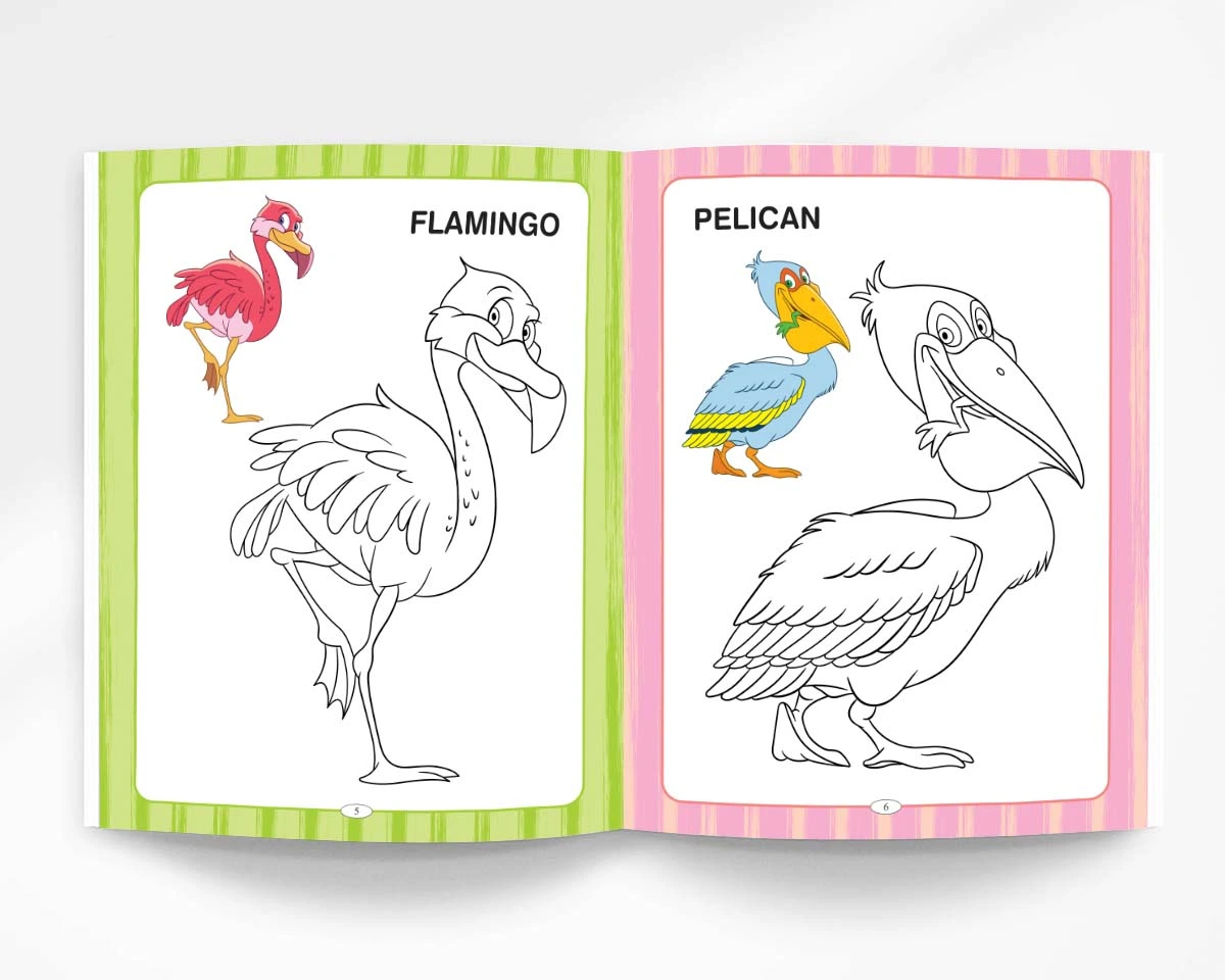 Animals And Birds Colouring Book - Fun Colouring Activity Book for Preschool Kids and Toddlers | Best Painting and Coloring Book -6